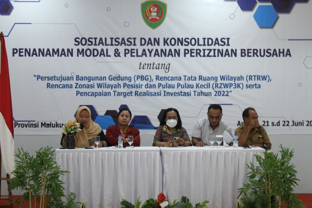 Sosialisasi dan Konsolidasi Penanaman Modal &amp; Pelayanan Perizinan Berusaha